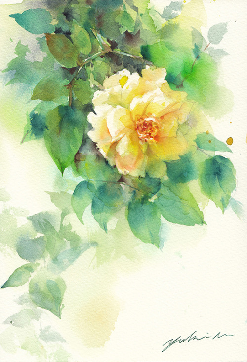 なつの花（Flower of summer）Aug 28.2020watercolorsize：158*227 mm (SM)paper：water ford white (中目・300g/m2)