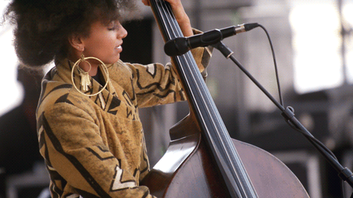 jcoleknowsbest:  npr:  nprmusic:  The 2013 Newport Jazz Festival In GIFs (by Adam Kissick for NPR)  It’s like we’re really there! Gifs!  5th gif… get it black folks..