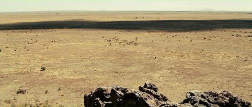No Country for Old Men (The Coen Brothers, 2008), True Grit (The Coen Brothers, 2010).TumblrChannelT