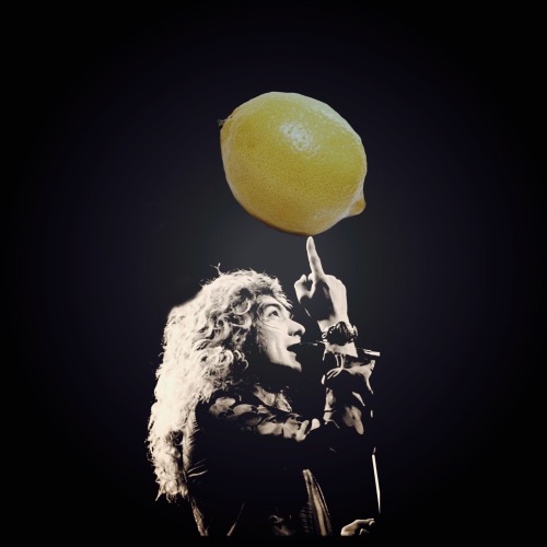 rock6880: ☺️ Led Zeppelin Lemon Life
