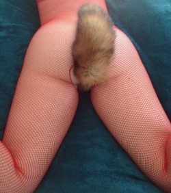 xsybilx:  Tails! 