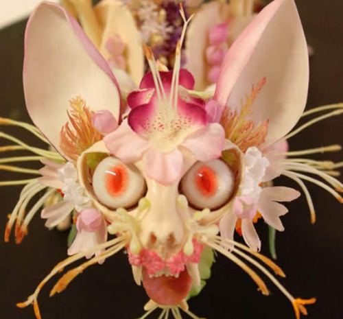 deermary:  Cedric Laquieze’s art pieces using flowers on articulated skeletons 