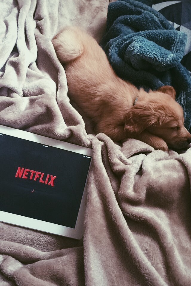 dizzdip:  What I really mean by Netflix and chill 