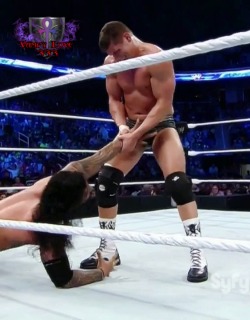 vampylove333:  Touch it, it’s magic, it grows when Randy Orton does his pose