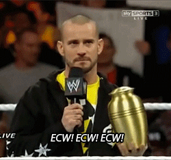 i'm a paul heyman guy