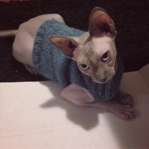rhymeswithmonth:It snowed again gotta keep warm!