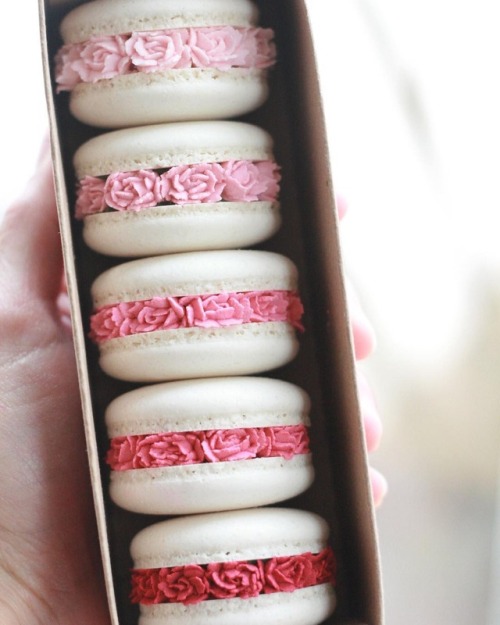sosuperawesome:Macarons by Ayseyamanbutikpasta on InstagramFollow So Super Awesome on Instagram