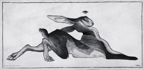 Lagomorpha