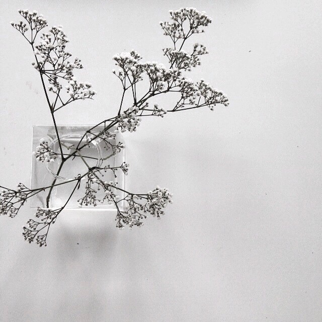 silver-blonde:  via jenniferlevau 