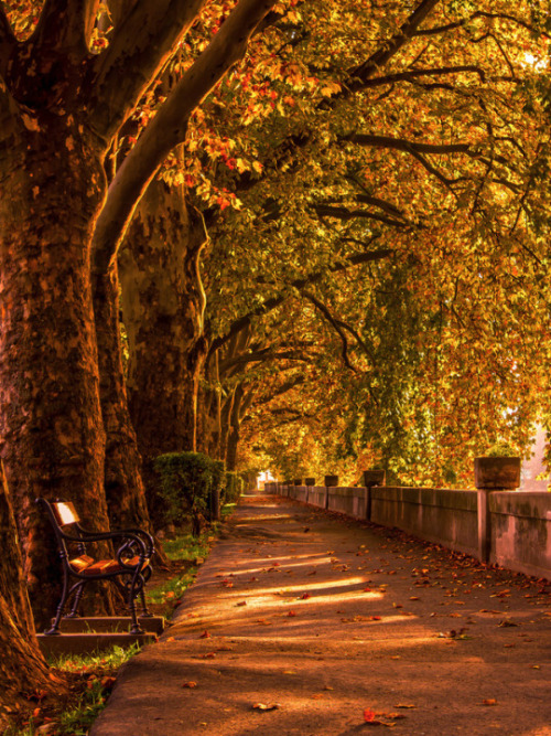 wanderlusteurope:Esztergom, Hungary