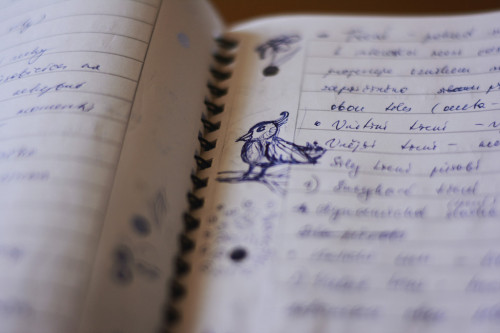 That Is Just The Way I Am Preparing For My Exams C: