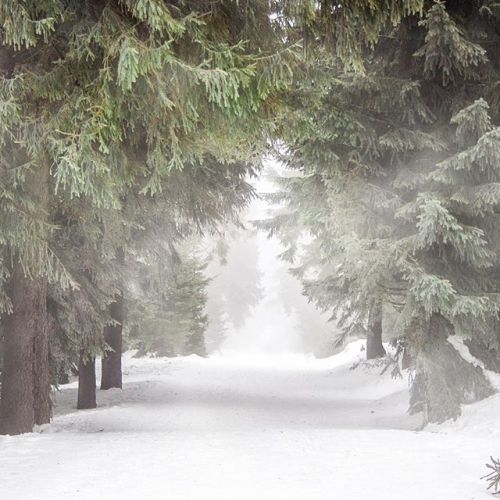 delta-breezes:  The Small Seed