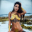 swimsexysuits