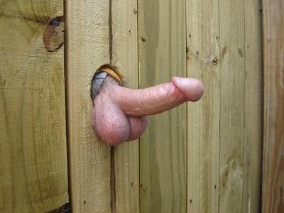 david917:  redrimmerthepirate:  Something Always Opens Up In The Hole-In-The-Wall Club House  SUCKING OFF THE STIFF HARD ERECT MASSIVE COCK AT THE GLORY HOLES MEN’S BATHROOM>Dave