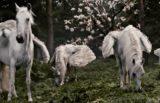 f27a1eef7e03b14f3b6df7428ad87d06a4583a65.gif