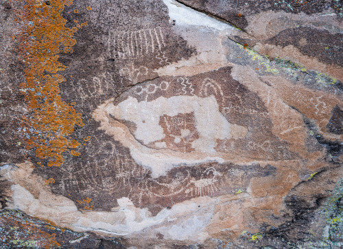 MI Petroglyphs 2, NV. Busy, busy area. Much of the rock surface has chipped and eroded away, leaving
