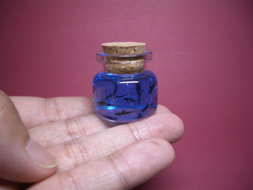 whatisaqualityblog:  fer1972:  Tiny Worlds in a Bottle  i’LL TAKE 40 