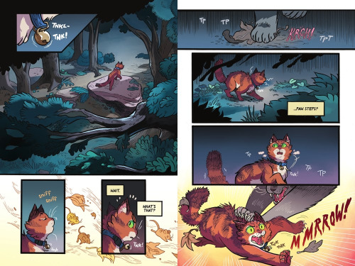 Warriors Graphic Novel Images!!!