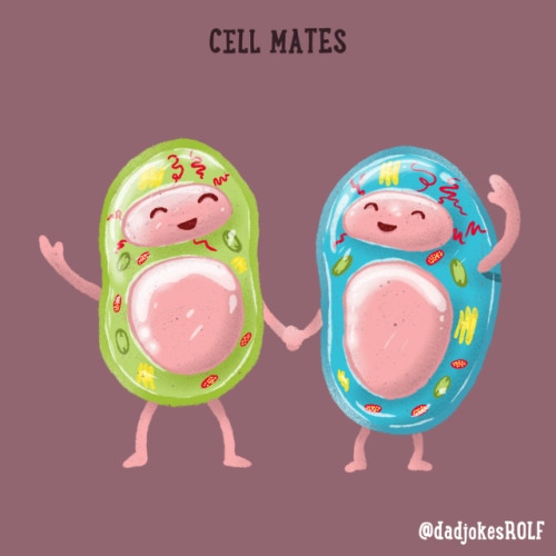 Cell Mates