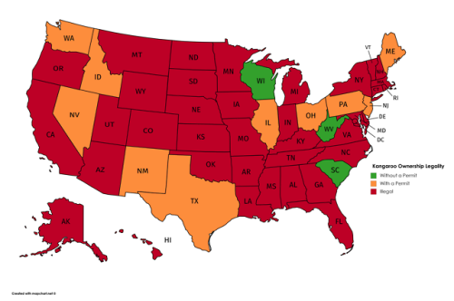 peteseeger:mapsontheweb:The Legality of owning a Kangaroo in the United States.“Small government” Te