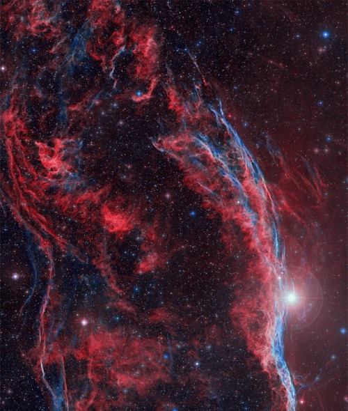 thedemon-hauntedworld:  Along the Western Veil Image Processing: Oliver Czernetz - Data: Digitized Sky Survey (POSS-II) 