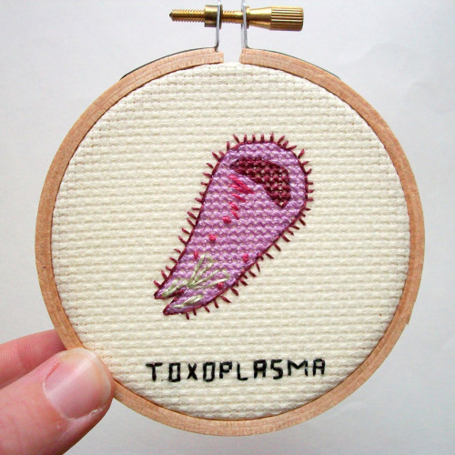 nevver:Cross-stitched MicrobesBlack Plague – if you’re looking for Yersinia Pestis, 