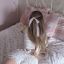 angelicgirly4444