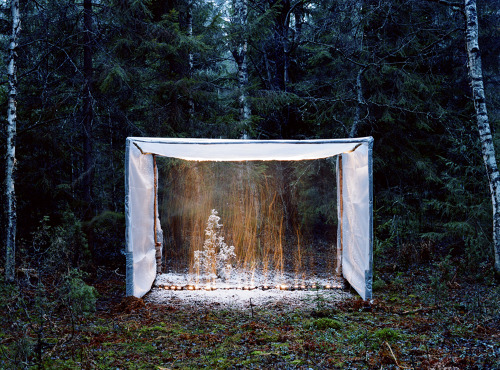 tofumoth:Ira Tviga - Sound-Light (2010)Tviga’s Sound-Light project was conceived out
