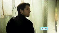 spacemisha:  SPN in The CW “TV Now” Fall Promo 2013-14  (x) 
