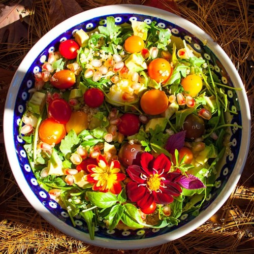 Olenko’s Happy Thanksgiving Harvest Salad-recipe is on my blog at www.olenkoskitchen.com #vegan #veg