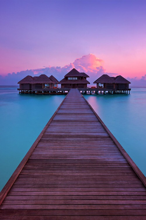 diamondsnglitz:  ❖