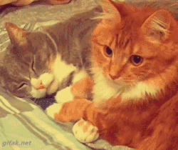 The Silent Treatment
