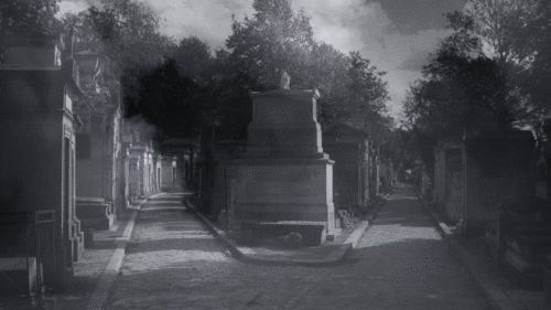 photoencounters:  Cimetière du Père-Lachaise. Paris. Photos and gifs by Amber Maitrejean