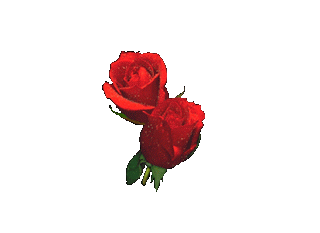 bleed-thru:  corny rose gifs. I wonder if people actually think these are romantic?