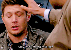 Supernatural Feed