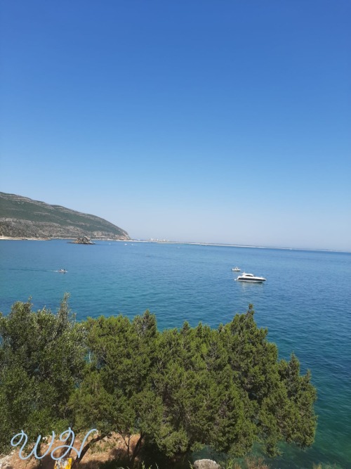 A Picture That I Took In Portugal