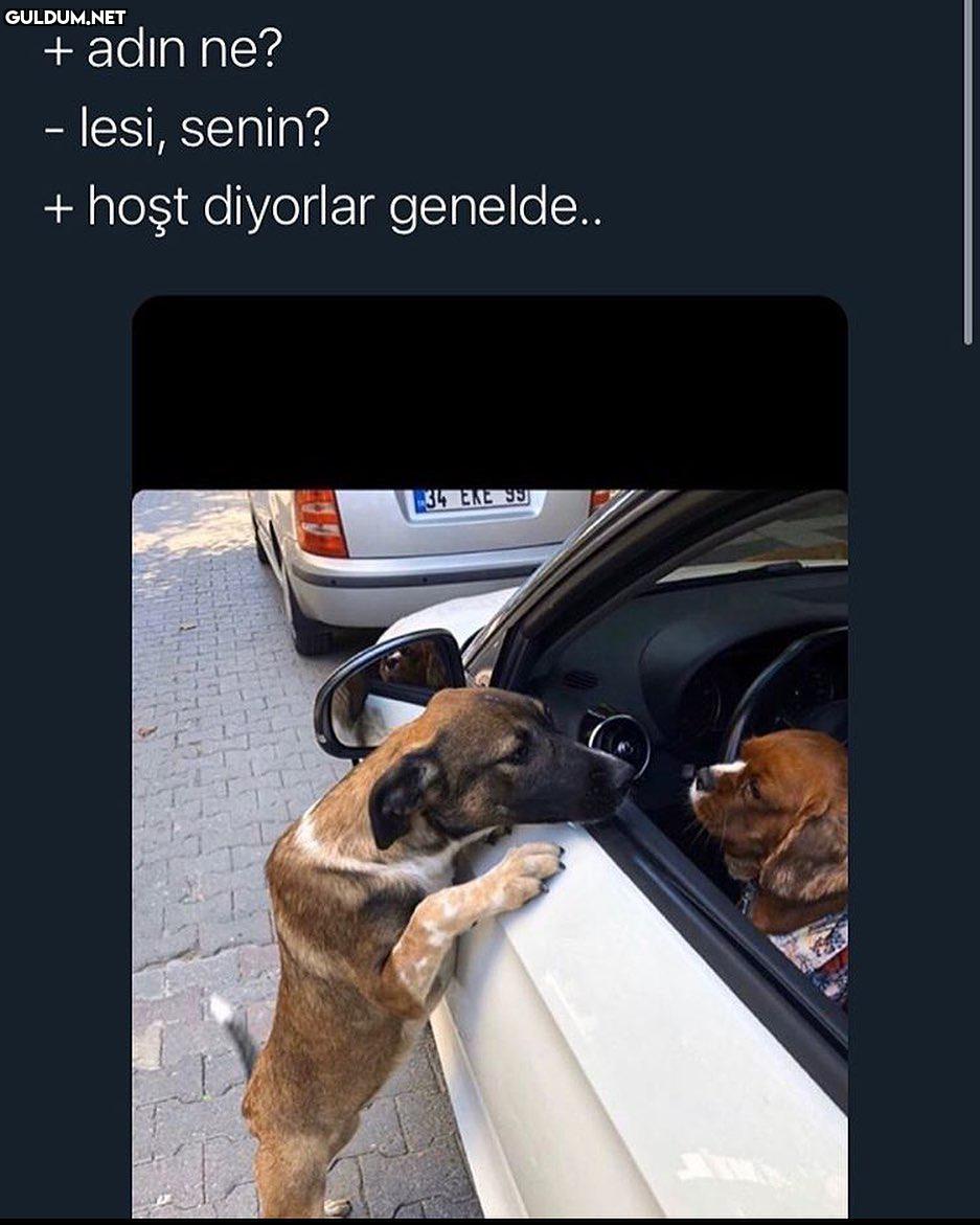 Garibanın yüzü gülür mü? +...