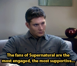 stir-of-echoes:  Jensen talking about fans and the influence they have on, and love they have for the show. 