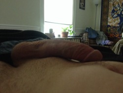 my cock that i submitted to this guy, great