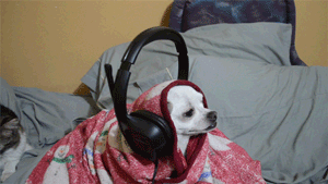 jakemalik:  “hey do you have any cool plans for the break?”    