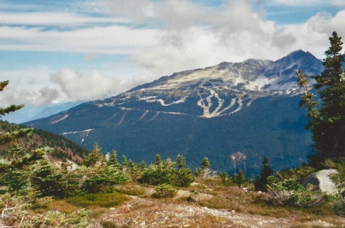 Blackcomb Mountain in Late Summer from Musical Bumps Trail, Whistler, British Columbia, 2003.