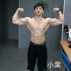 bradtrinh:  sglovepeace:  ahiha198:  asianhunksstud:  Hot Taiwan muscle builder Rocky小葉 Who has the video please share :)#asian #asiannaked #asianmale #asianmuscle #asianhunk #bigcock  Nice  Wtf thats damn long  B