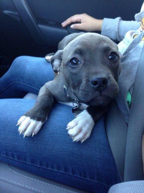 The Most Beautiful Thing You'll See Today.