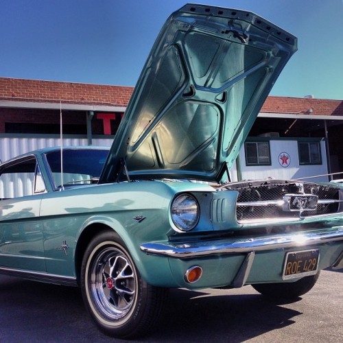 ilikeyourpeacock:  Looks so surreal, I must be daydreaming. #nofilter #mustang