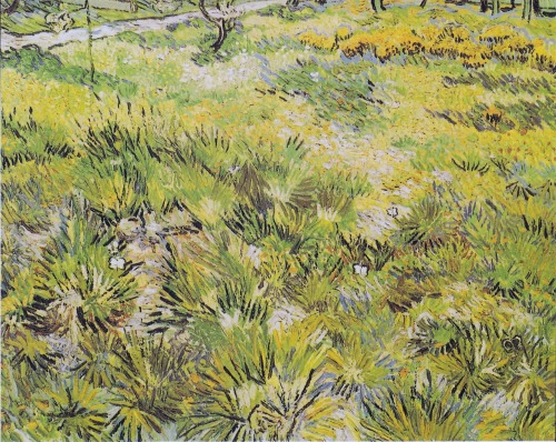 ikna:  Vincent Van Gogh, Long Grass With Butterflies, 1890 