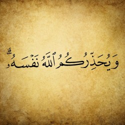 https://69.media.tumblr.com/be8b31f4c5c9a7b4770239f4a55e4f31/tumblr_nq17zd2urv1u5zslco1_500.jpg
