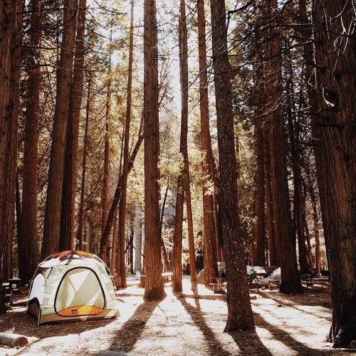 ourcamplife:  Photo by: @peteramend #ourcamplife