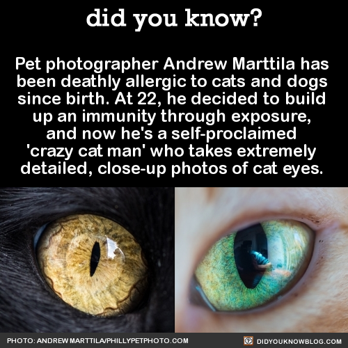 did-you-kno: Pet photographer Andrew Marttila has been deathly allergic to cats and dogs since birth