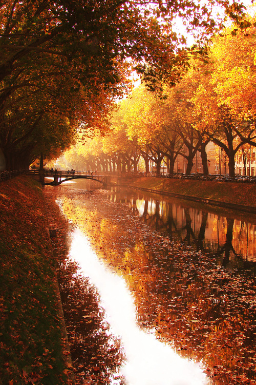 bitrates:  🍂 Autumn Blog 🎃 