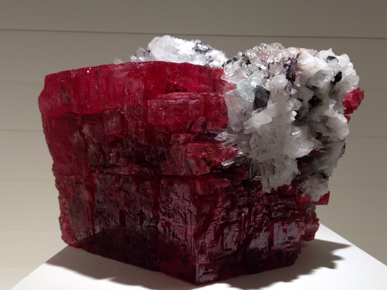 blazing-forge:  aardwolfpack:  greenapricot:  iPhone photos of rocks at the Harvard
